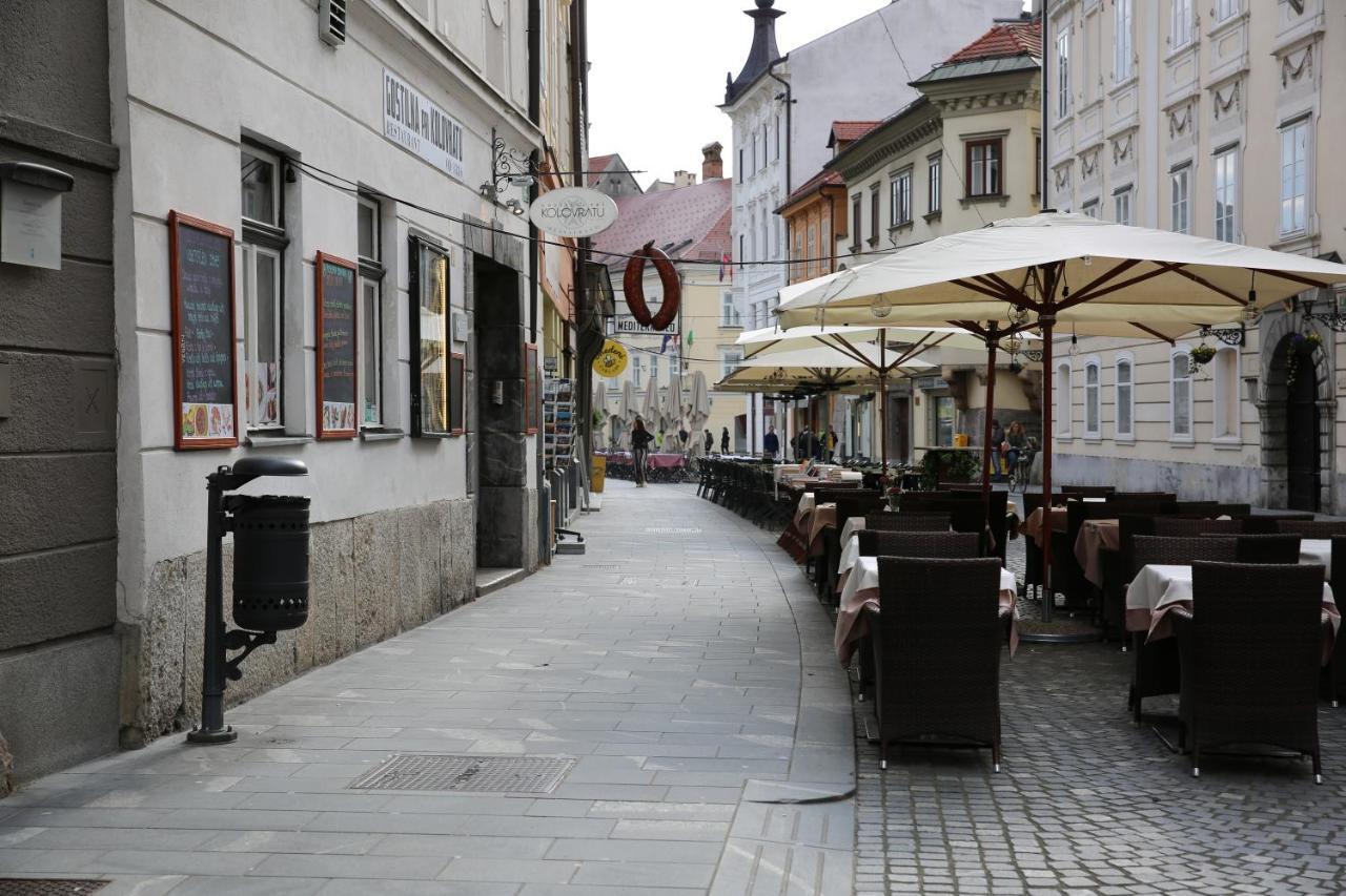 Kolovrathome Ljubljana Bagian luar foto